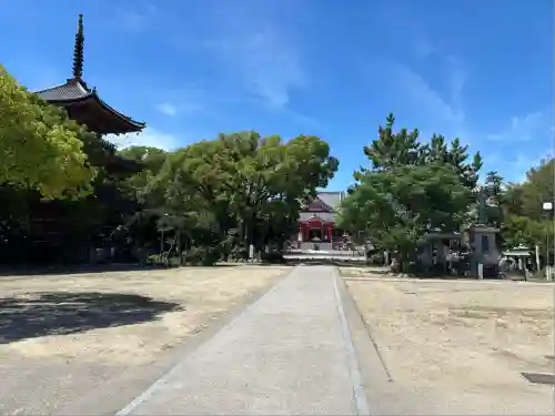 甚目寺(愛知県)