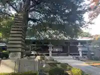 安養院(東京都)