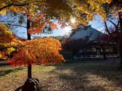 淨眞寺(東京都)