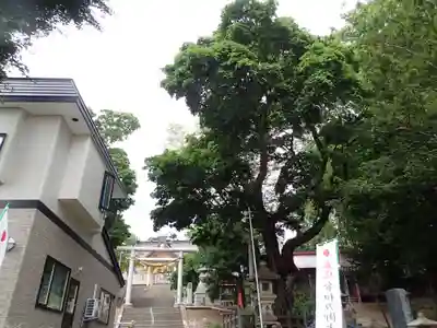 厳島神社のその他建物