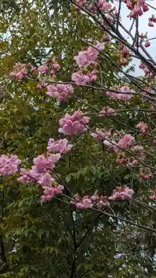 熊野若王子神社(京都府)