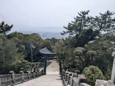 琴彈八幡宮の{uncategorized: "未分類", other: "その他", undefined: "問題あり", building: "その他建物", grave: "お墓", sacred_gate: "鳥居", guardian: "狛犬", statue: "像", buddha: "仏像", history: "歴史", nature: "自然", garden: "庭園", animal: "動物", pagoda: "塔", temizu: "手水舎", mountain_gate: "山門・神門", sanctuary: "本殿・本堂", subordinate: "末社・摂社", art: "芸術", scenery: "景色", jizo: "地蔵", ema: "絵馬", goshuin: "御朱印", omikuji: "おみくじ", items: "授与品その他", amulet: "お守り", goshuincho: "御朱印帳", eats: "食事", festival: "お祭り", votive_dance: "神楽", shichigosan: "七五三参", wedding: "結婚式", experience: "体験その他", initially: "初詣", around: "周辺", anti_infection: "感染症対策"}