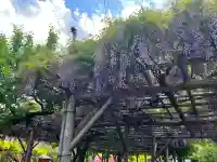 亀戸天神社(東京都)