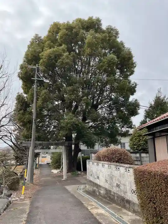 天満天神社の鳥居