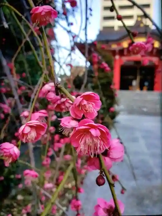 成子天神社(東京都)