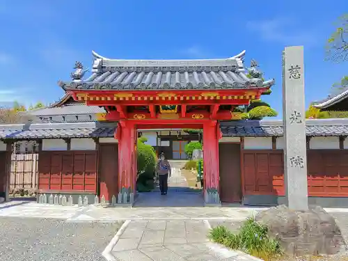 慈光院（曼陀羅寺塔頭）の山門・神門