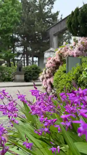 福井神社の{uncategorized: "未分類", other: "その他", undefined: "問題あり", building: "その他建物", grave: "お墓", sacred_gate: "鳥居", guardian: "狛犬", statue: "像", buddha: "仏像", history: "歴史", nature: "自然", garden: "庭園", animal: "動物", pagoda: "塔", temizu: "手水舎", mountain_gate: "山門・神門", sanctuary: "本殿・本堂", subordinate: "末社・摂社", art: "芸術", scenery: "景色", jizo: "地蔵", ema: "絵馬", goshuin: "御朱印", omikuji: "おみくじ", items: "授与品その他", amulet: "お守り", goshuincho: "御朱印帳", eats: "食事", festival: "お祭り", votive_dance: "神楽", shichigosan: "七五三参", wedding: "結婚式", experience: "体験その他", initially: "初詣", around: "周辺", anti_infection: "感染症対策"}