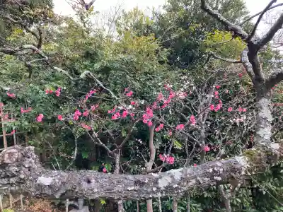 来迎寺（西御門）の{uncategorized: "未分類", other: "その他", undefined: "問題あり", building: "その他建物", grave: "お墓", sacred_gate: "鳥居", guardian: "狛犬", statue: "像", buddha: "仏像", history: "歴史", nature: "自然", garden: "庭園", animal: "動物", pagoda: "塔", temizu: "手水舎", mountain_gate: "山門・神門", sanctuary: "本殿・本堂", subordinate: "末社・摂社", art: "芸術", scenery: "景色", jizo: "地蔵", ema: "絵馬", goshuin: "御朱印", omikuji: "おみくじ", items: "授与品その他", amulet: "お守り", goshuincho: "御朱印帳", eats: "食事", festival: "お祭り", votive_dance: "神楽", shichigosan: "七五三参", wedding: "結婚式", experience: "体験その他", initially: "初詣", around: "周辺", anti_infection: "感染症対策"}