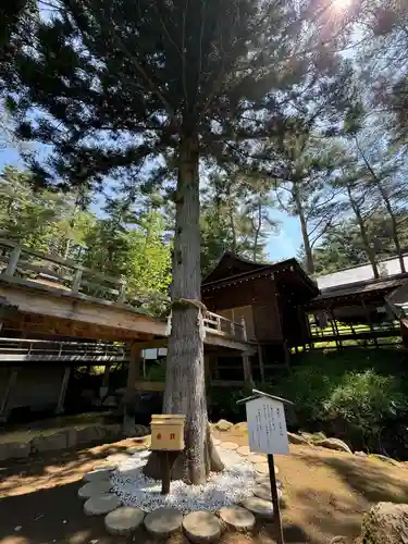身曾岐神社(山梨県)