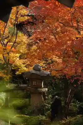 圓光寺(京都府)