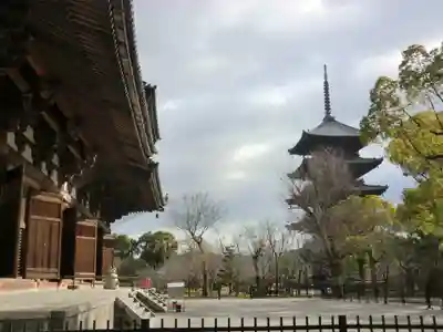 東寺（教王護国寺）(京都府)