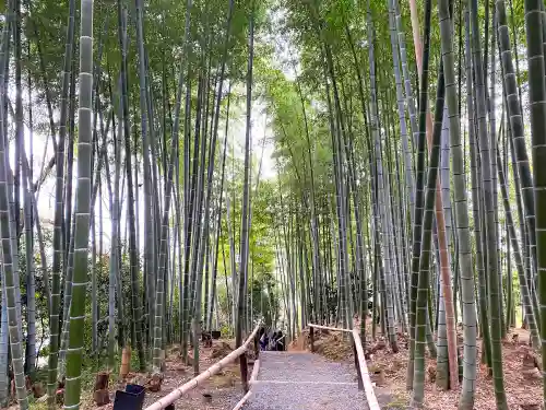 高台寺（高台寿聖禅寺・高臺寺）(京都府)