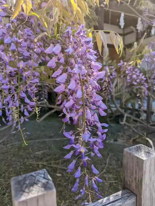 西院春日神社(京都府)