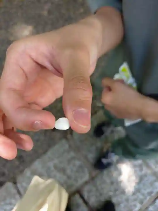 亀戸 香取神社(東京都)