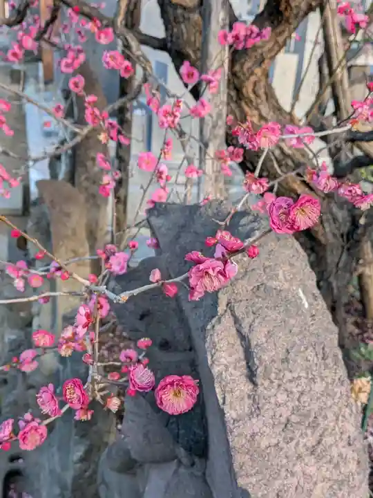 成願寺(東京都)