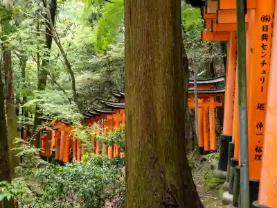伏見稲荷大社の{uncategorized: "未分類", other: "その他", undefined: "問題あり", building: "その他建物", grave: "お墓", sacred_gate: "鳥居", guardian: "狛犬", statue: "像", buddha: "仏像", history: "歴史", nature: "自然", garden: "庭園", animal: "動物", pagoda: "塔", temizu: "手水舎", mountain_gate: "山門・神門", sanctuary: "本殿・本堂", subordinate: "末社・摂社", art: "芸術", scenery: "景色", jizo: "地蔵", ema: "絵馬", goshuin: "御朱印", omikuji: "おみくじ", items: "授与品その他", amulet: "お守り", goshuincho: "御朱印帳", eats: "食事", festival: "お祭り", votive_dance: "神楽", shichigosan: "七五三参", wedding: "結婚式", experience: "体験その他", initially: "初詣", around: "周辺", anti_infection: "感染症対策"}