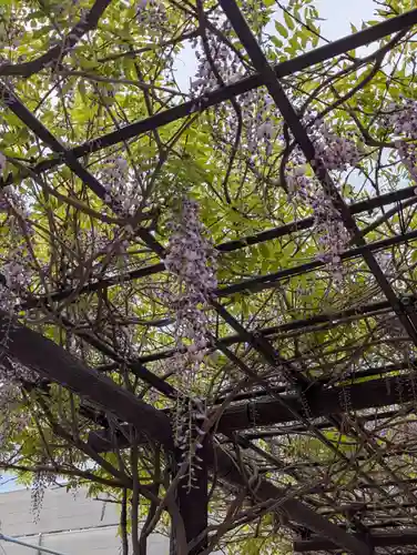 石濱神社(東京都)