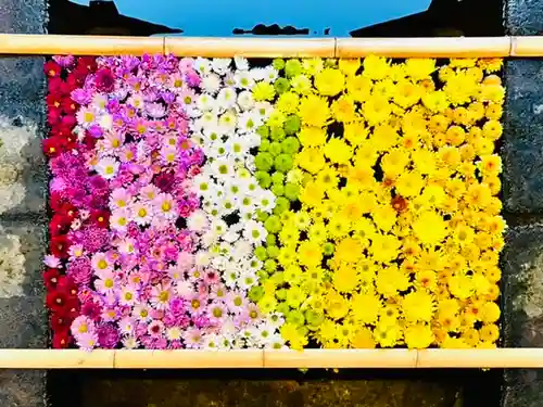 土津神社｜こどもと出世の神さまの手水舎