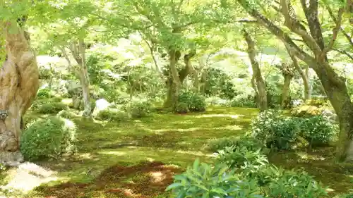 圓光寺(京都府)