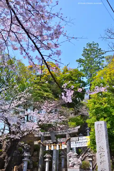 師岡熊野神社(神奈川県)