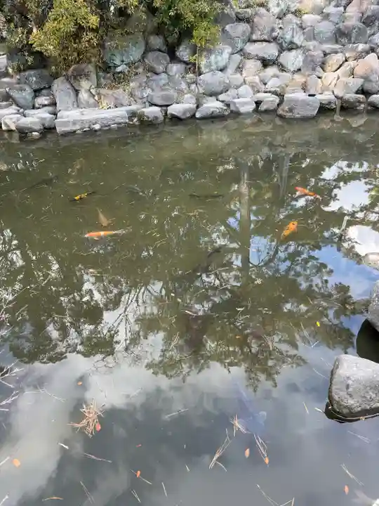 西宮神社(兵庫県)