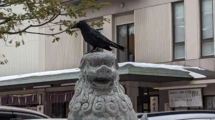 北海道神宮頓宮の動物