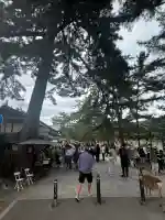 興福寺の{uncategorized: "未分類", other: "その他", undefined: "問題あり", building: "その他建物", grave: "お墓", sacred_gate: "鳥居", guardian: "狛犬", statue: "像", buddha: "仏像", history: "歴史", nature: "自然", garden: "庭園", animal: "動物", pagoda: "塔", temizu: "手水舎", mountain_gate: "山門・神門", sanctuary: "本殿・本堂", subordinate: "末社・摂社", art: "芸術", scenery: "景色", jizo: "地蔵", ema: "絵馬", goshuin: "御朱印", omikuji: "おみくじ", items: "授与品その他", amulet: "お守り", goshuincho: "御朱印帳", eats: "食事", festival: "お祭り", votive_dance: "神楽", shichigosan: "七五三参", wedding: "結婚式", experience: "体験その他", initially: "初詣", around: "周辺", anti_infection: "感染症対策"}