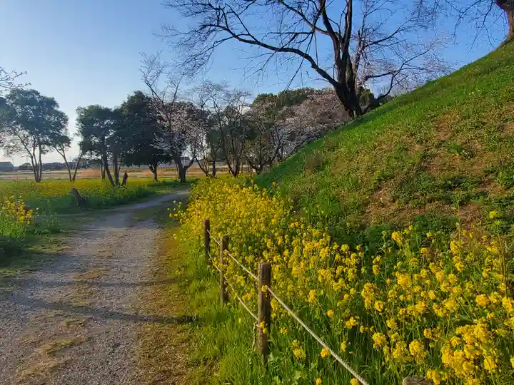 前玉神社(埼玉県)