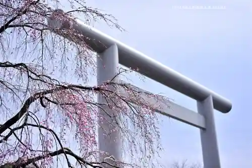 櫻木神社(千葉県)