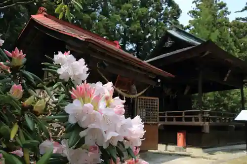 三春大神宮の景色