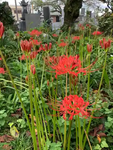 牛来寺(栃木県)