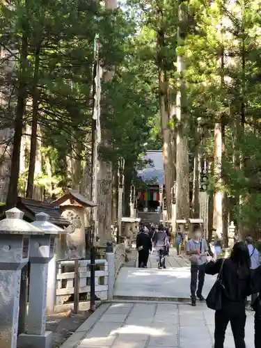 高野山金剛峯寺奥の院(和歌山県)