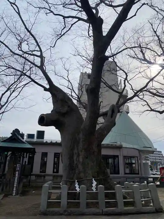 阿邪訶根神社(福島県)