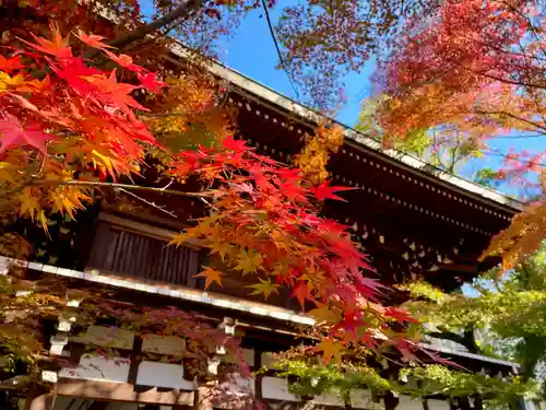 東漸寺(千葉県)