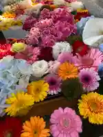 新川皇大神社の手水舎