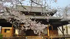 立本寺の本殿