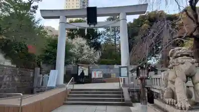 乃木神社の鳥居