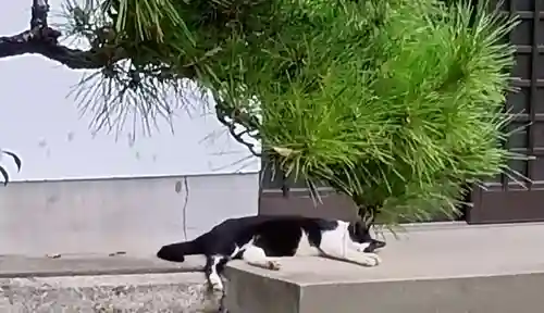 刺田比古神社(和歌山県)