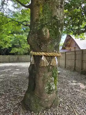 香良洲神社(三重県)