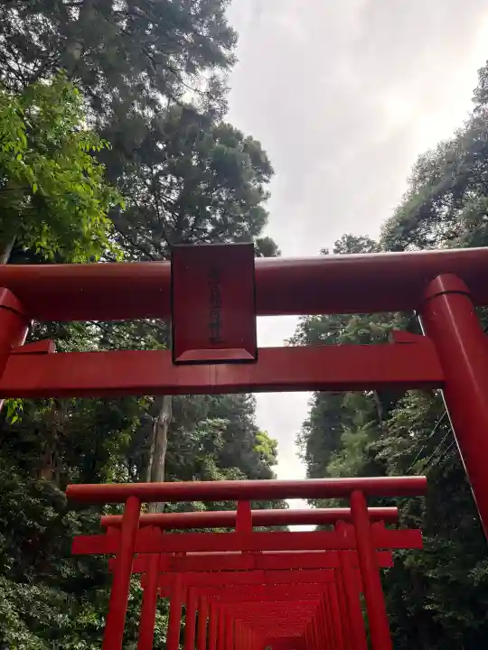 南宮稲荷大明神の{uncategorized: "未分類", other: "その他", undefined: "問題あり", building: "その他建物", grave: "お墓", sacred_gate: "鳥居", guardian: "狛犬", statue: "像", buddha: "仏像", history: "歴史", nature: "自然", garden: "庭園", animal: "動物", pagoda: "塔", temizu: "手水舎", mountain_gate: "山門・神門", sanctuary: "本殿・本堂", subordinate: "末社・摂社", art: "芸術", scenery: "景色", jizo: "地蔵", ema: "絵馬", goshuin: "御朱印", omikuji: "おみくじ", items: "授与品その他", amulet: "お守り", goshuincho: "御朱印帳", eats: "食事", festival: "お祭り", votive_dance: "神楽", shichigosan: "七五三参", wedding: "結婚式", experience: "体験その他", initially: "初詣", around: "周辺", anti_infection: "感染症対策"}