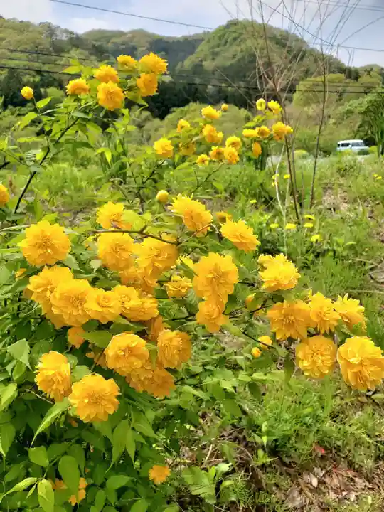 高司神社〜むすびの神の鎮まる社〜(福島県)