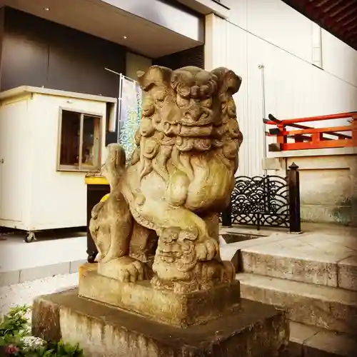 神田神社（神田明神）の狛犬