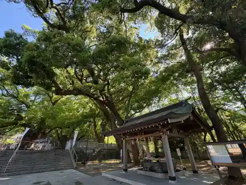 大麻比古神社(徳島県)