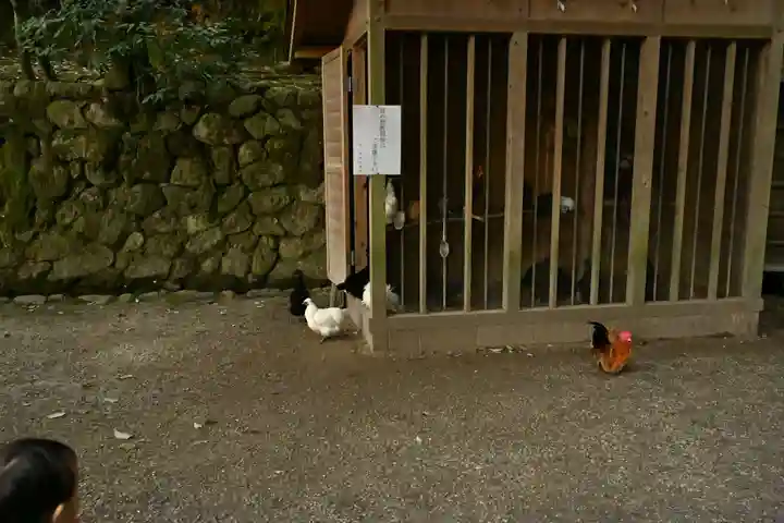 石上神宮(奈良県)