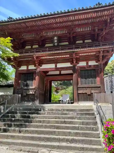 金剛寺の山門