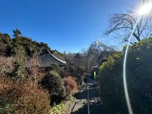 岩之上堂(埼玉県)