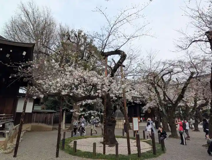 靖國神社(東京都)
