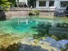 嚴島神社(山口県)