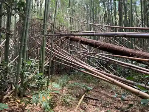 西福寺(千葉県)