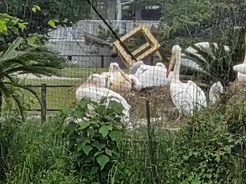 常盤神社(山口県)